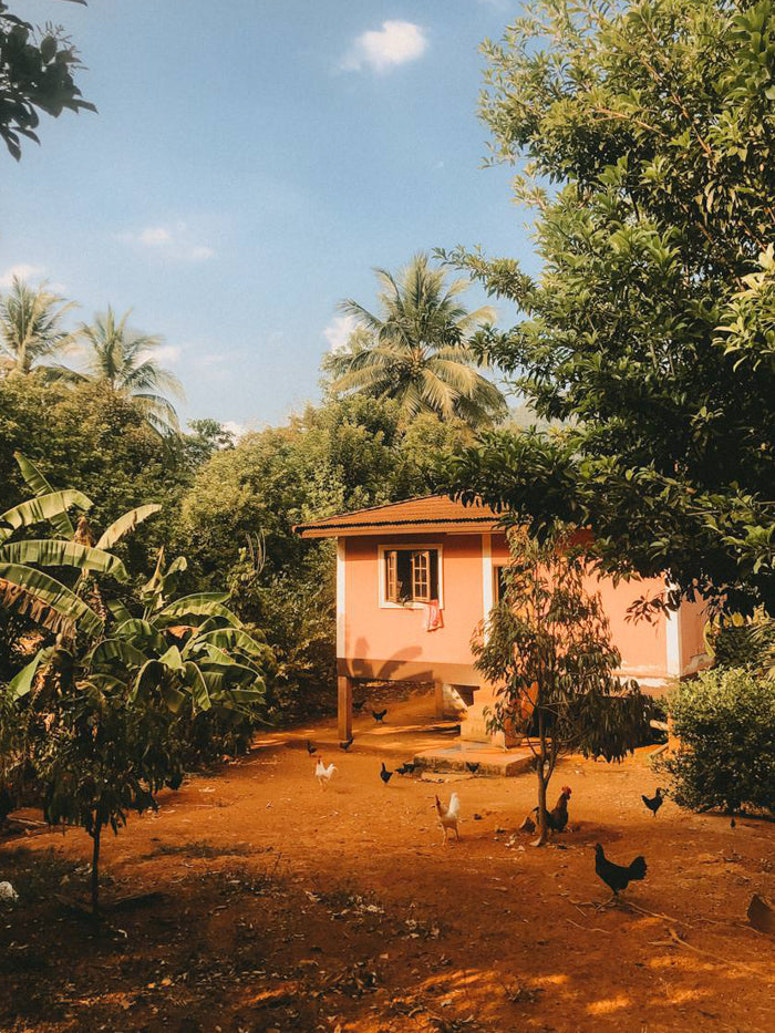 Carmushka Summer Mobile Preset Pack