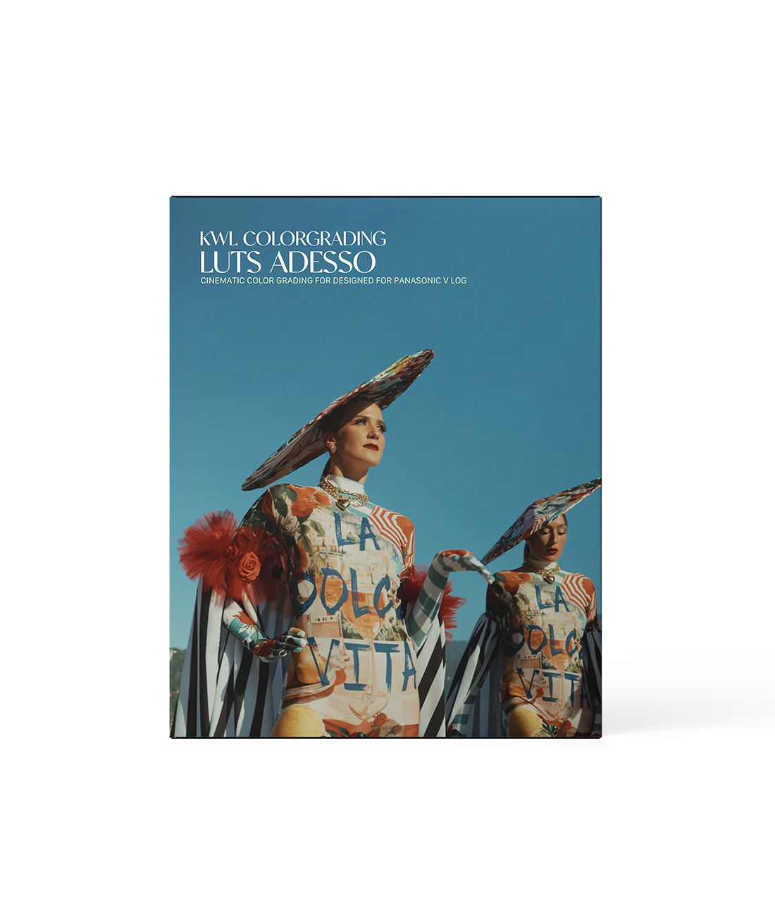 ADESSO LUTs for V Log