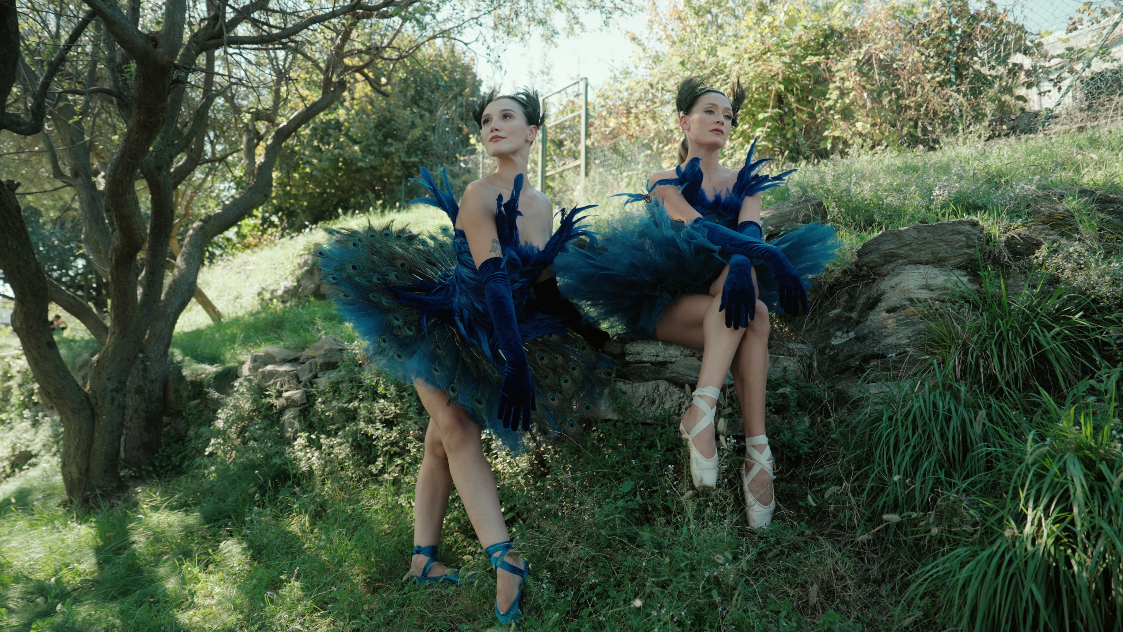 ADESSO LUTs for V Log